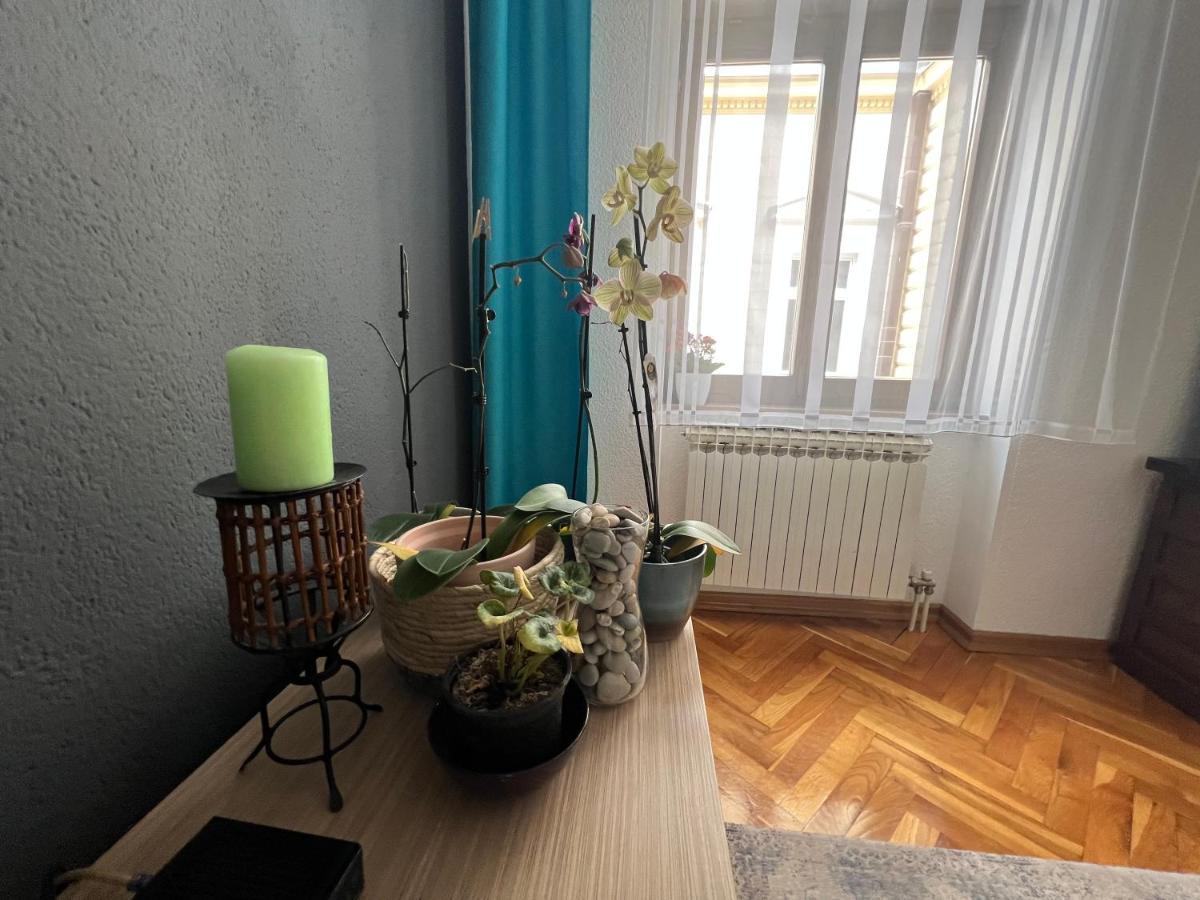 Djana Apartment SJJ Eksteriør bilde
